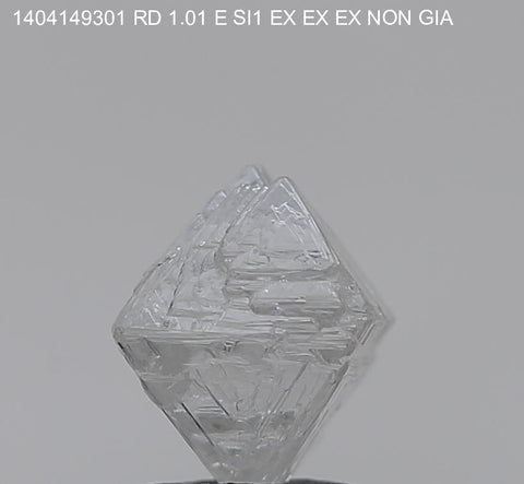 1.01 BR E SI1 EX EX EX Canada CanadaMark GIA 1499542355 CM-421163 Diavik
